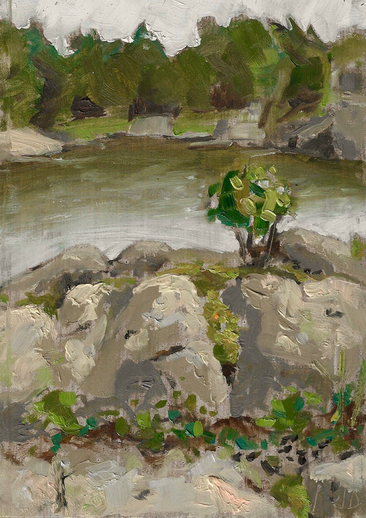 Goose Shit Island #2