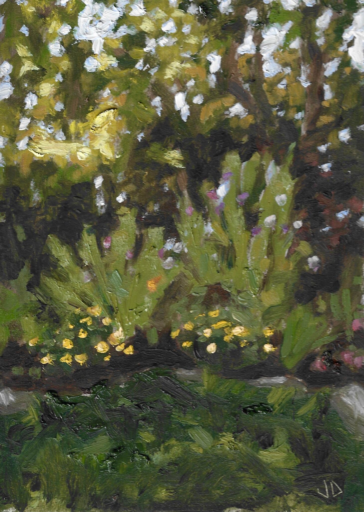 Garden in Late Afternoon