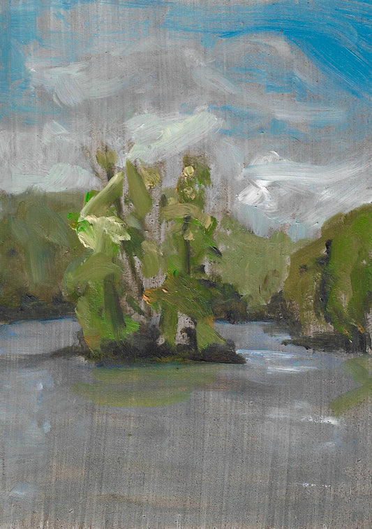 From Goose Shit Island